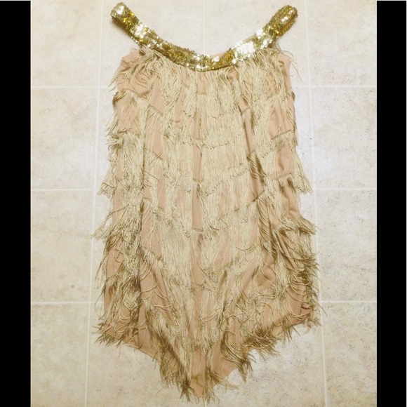ROARING 20’s FLAPPER - CHARLESTON - GATSBY - FRINGE DRESS - SIZE SMALL / MEDIUM - Picture 2 of 4